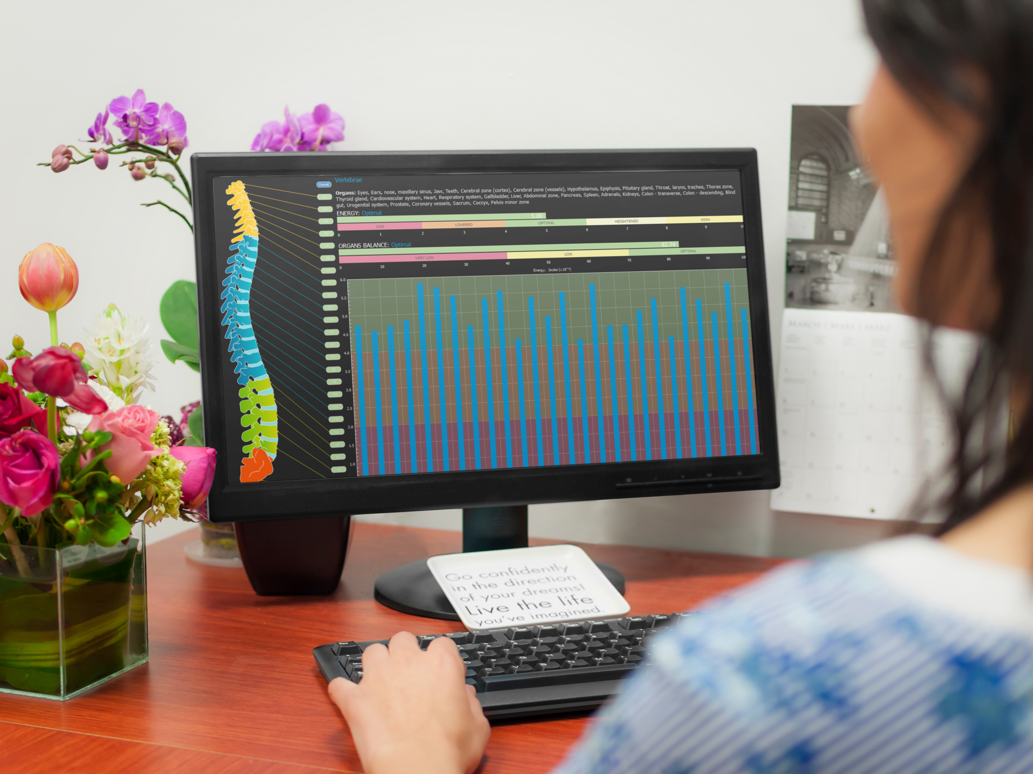 Πλήρες πακέτο θεραπευτών Bio-Well