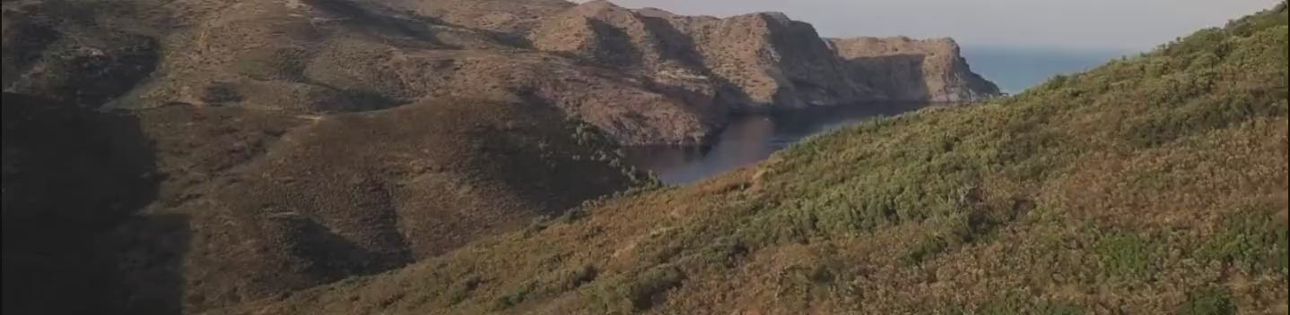 Φόρτωση βίντεο: 